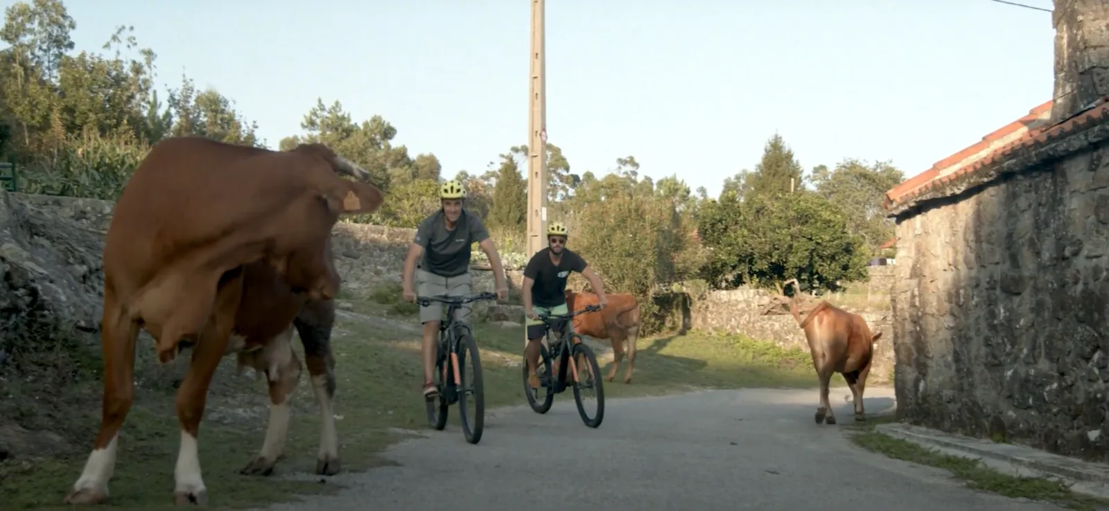 E-Bike Wild Tour – image 6