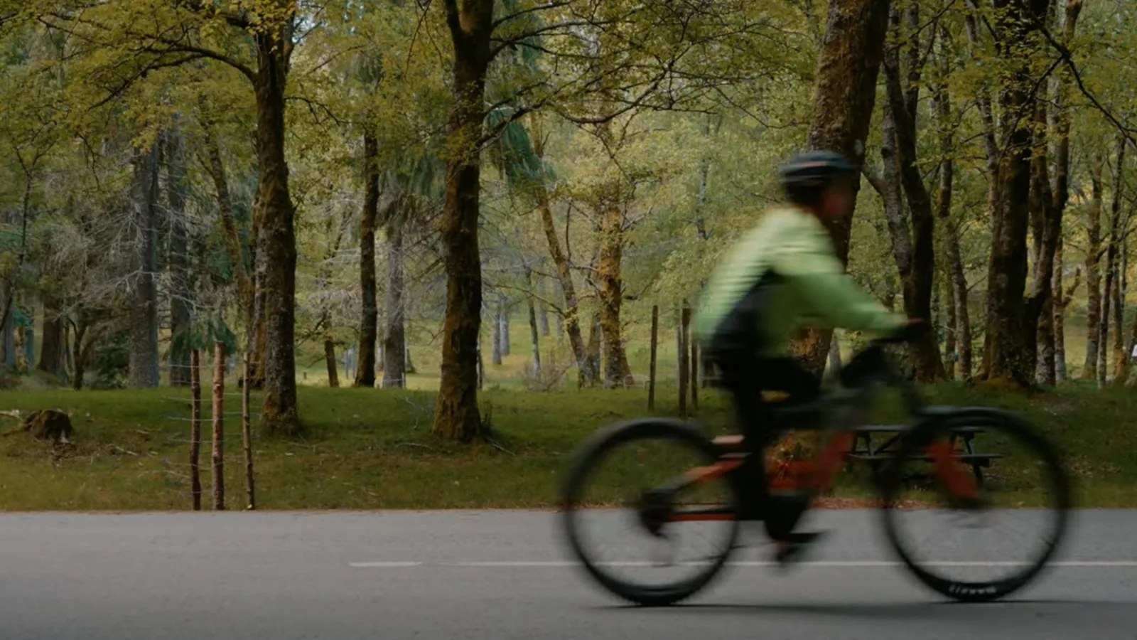 E-Bike Wild Tour – image 17