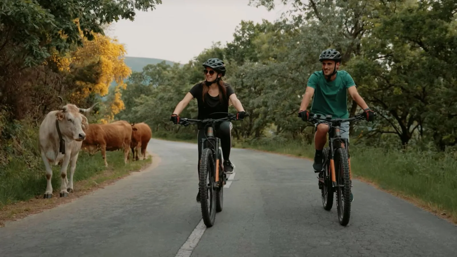 E-Bike Wild Tour – image 18