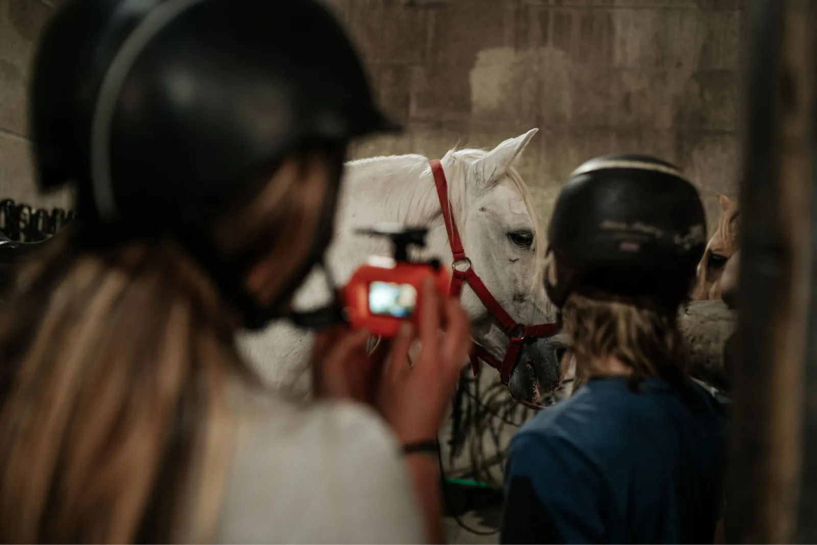 Horseback Riding in Viana do Castelo – image 6