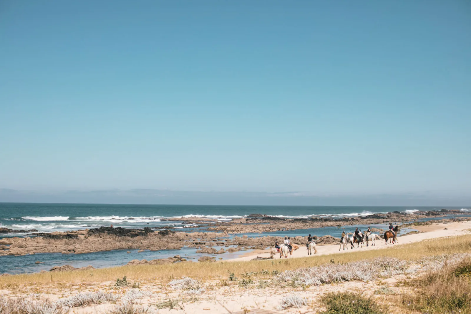 Horseback Riding in Viana do Castelo – image 7