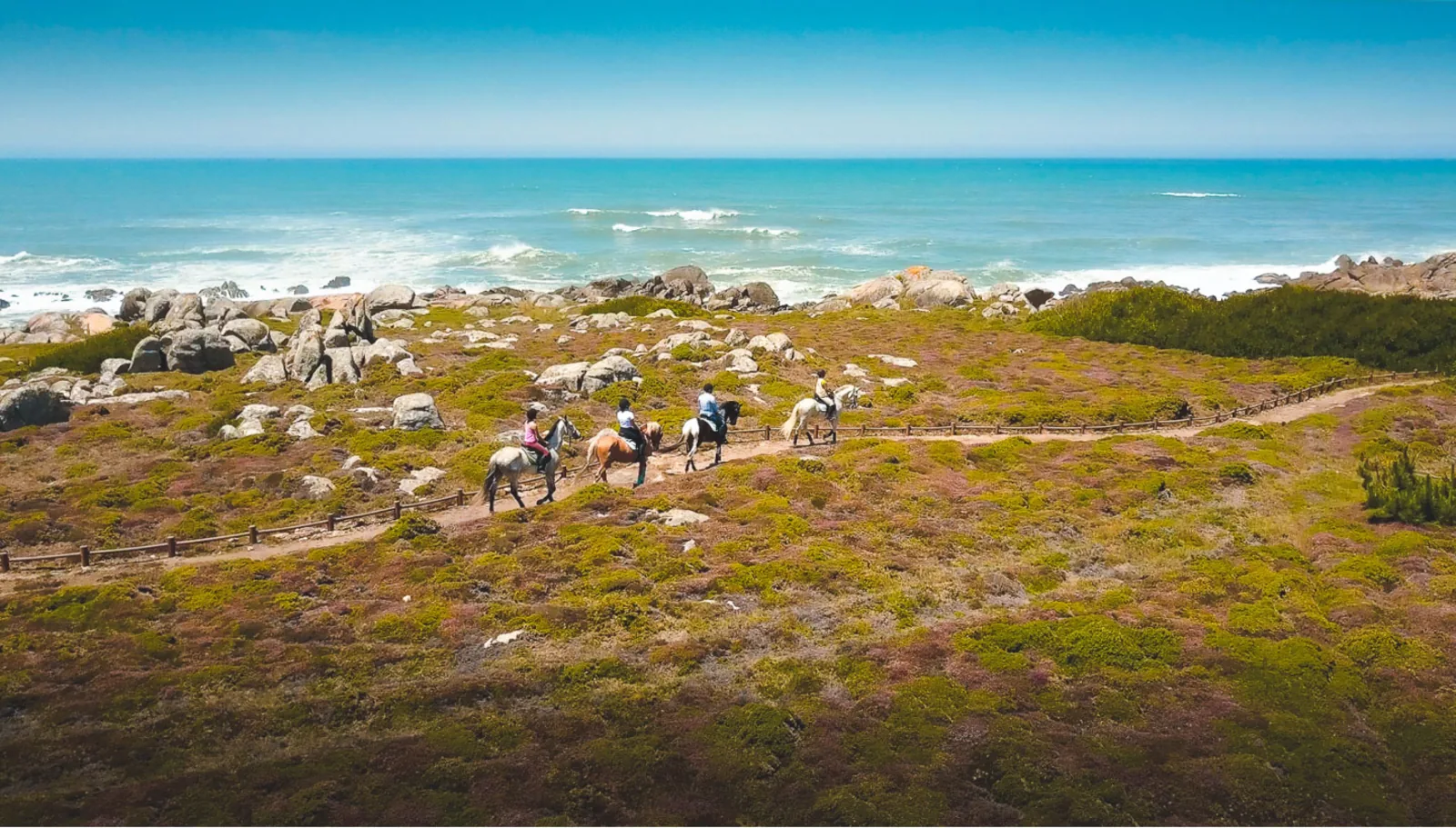 Horseback Riding in Viana do Castelo – image 9