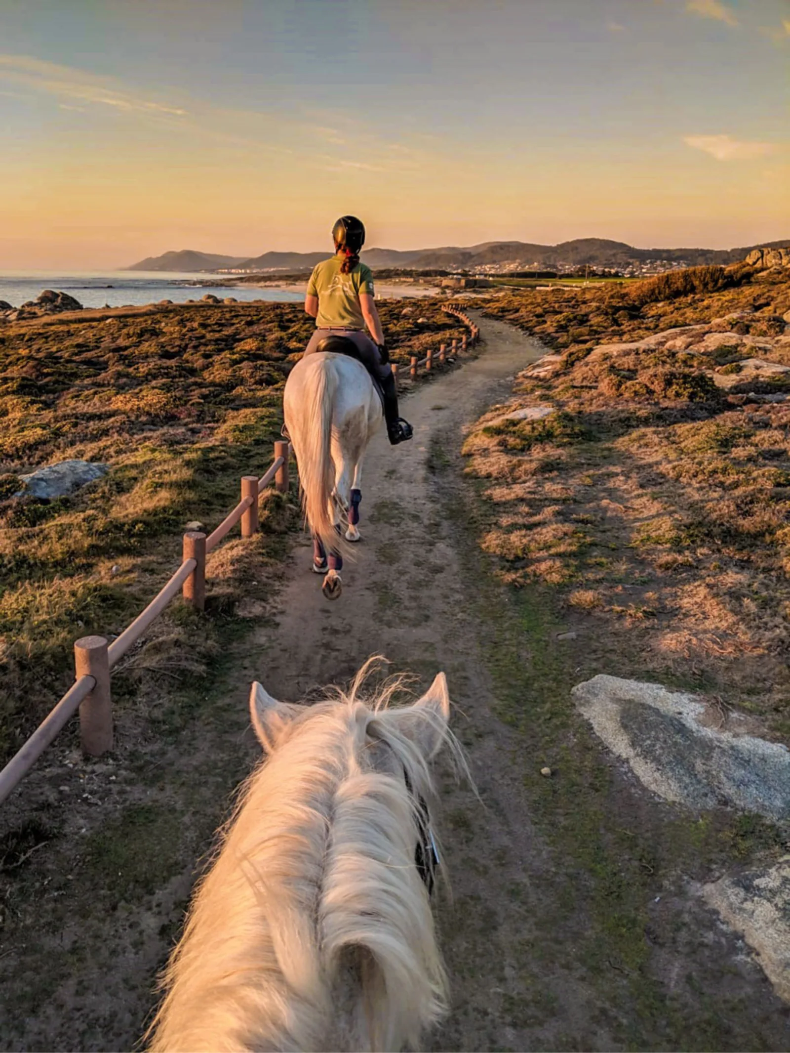 Horseback Riding in Viana do Castelo – image 10