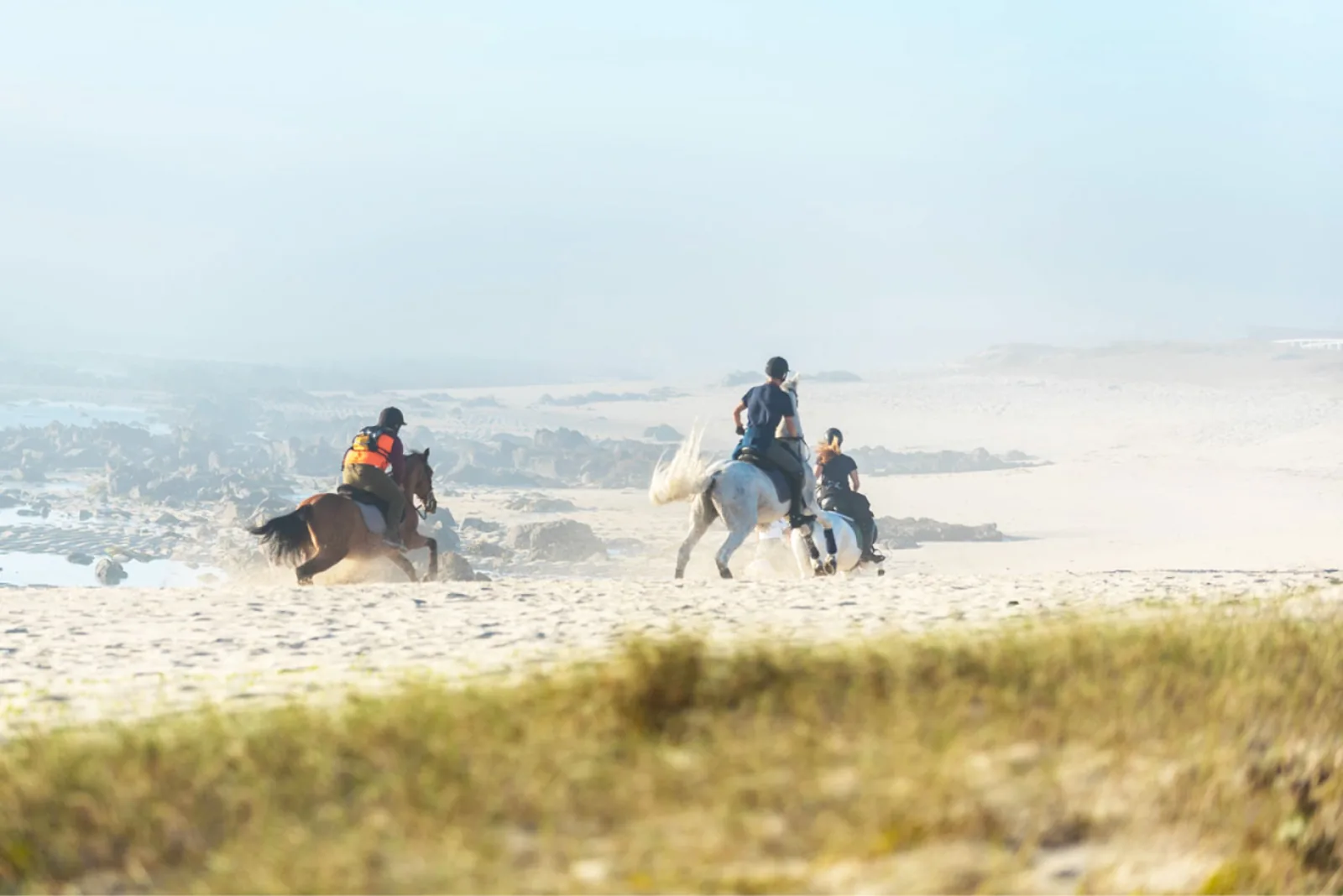 Horseback Riding in Viana do Castelo – image 11