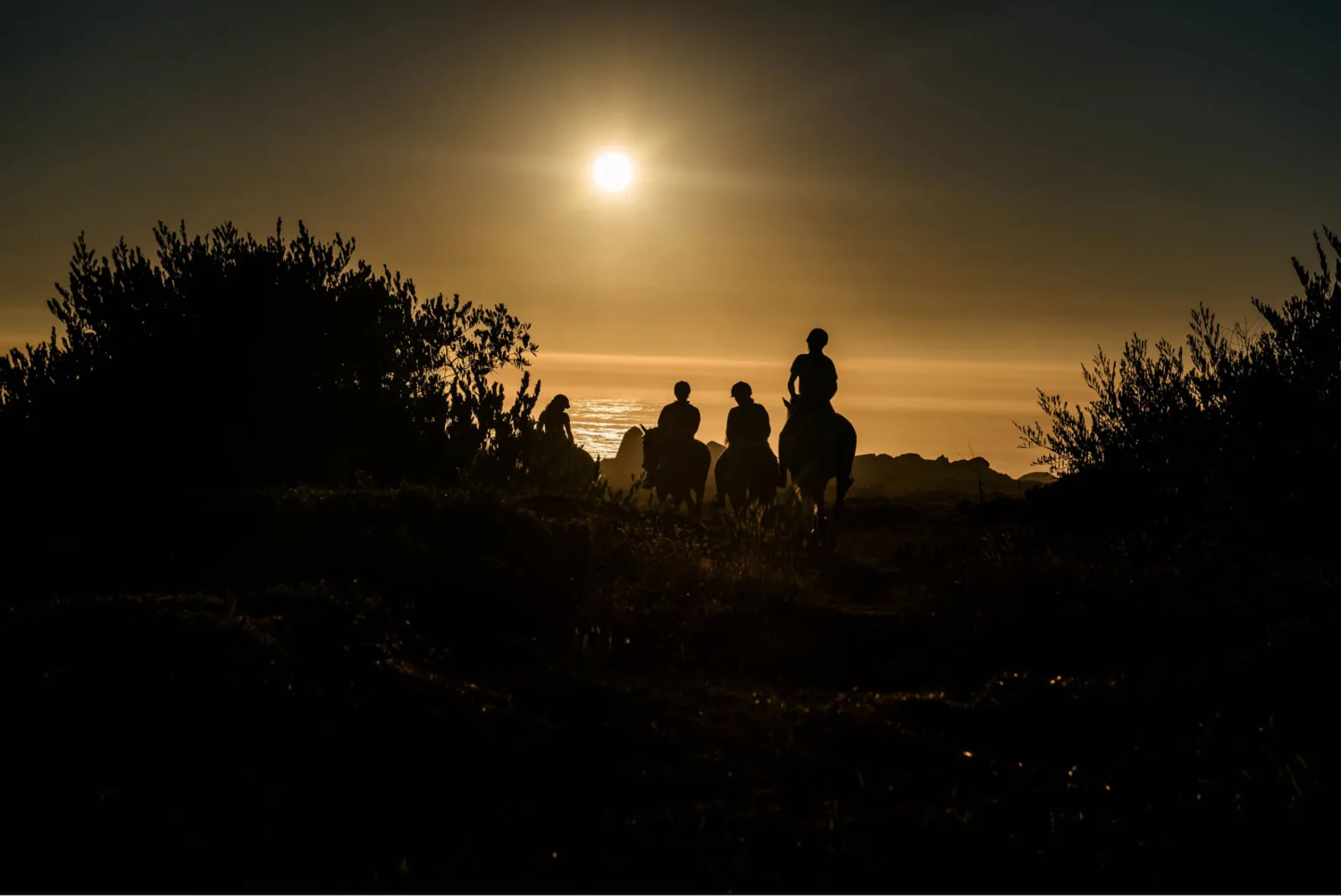 Horseback Riding in Viana do Castelo – image 16