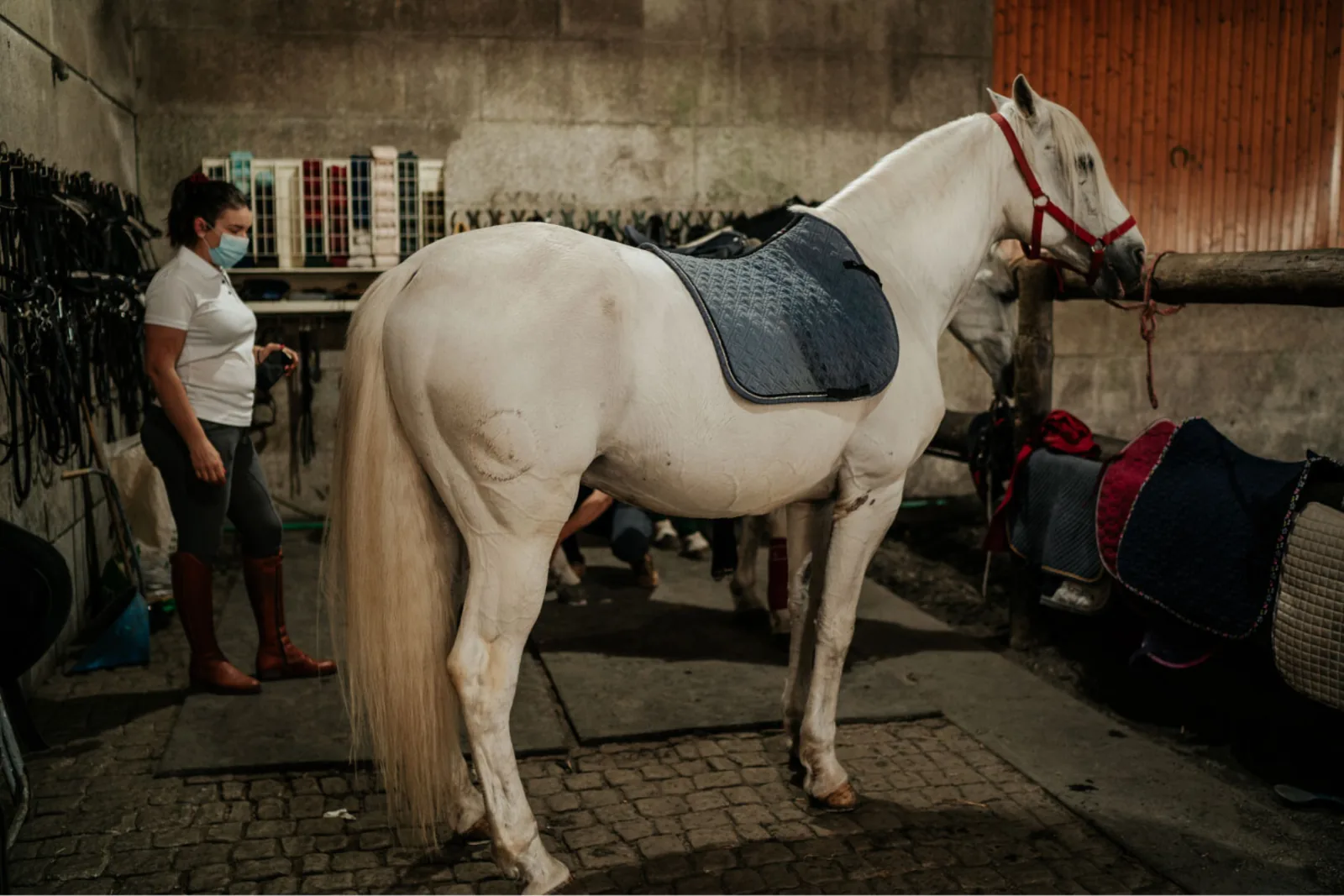 Horseback Riding in Viana do Castelo – image 18