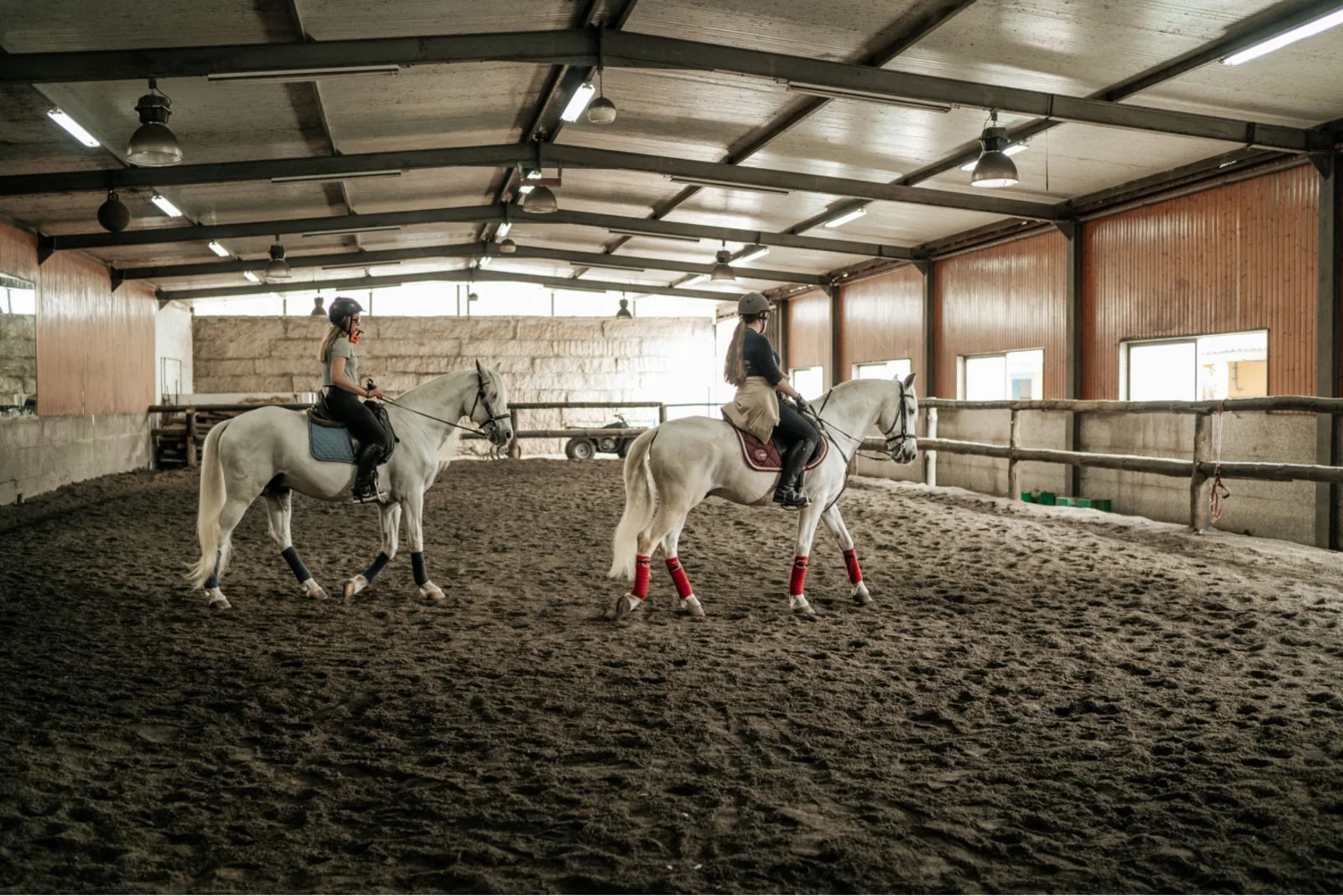 Horseback Riding in Viana do Castelo – image 21
