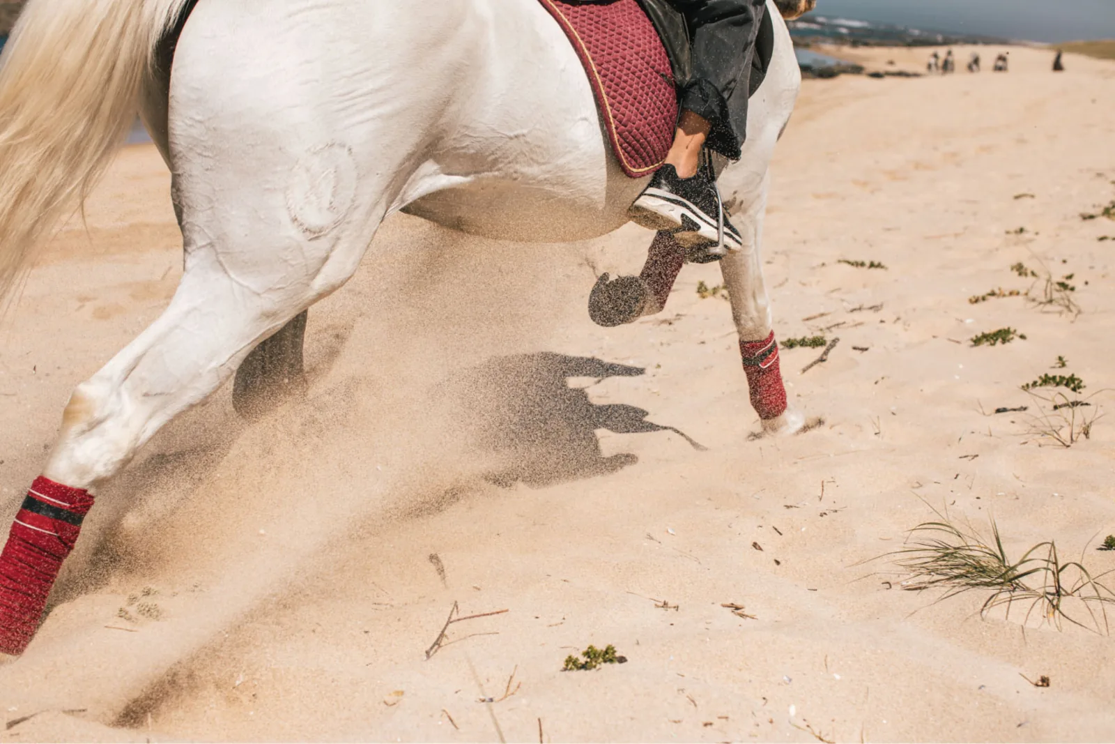Horseback Riding in Viana do Castelo – image 24