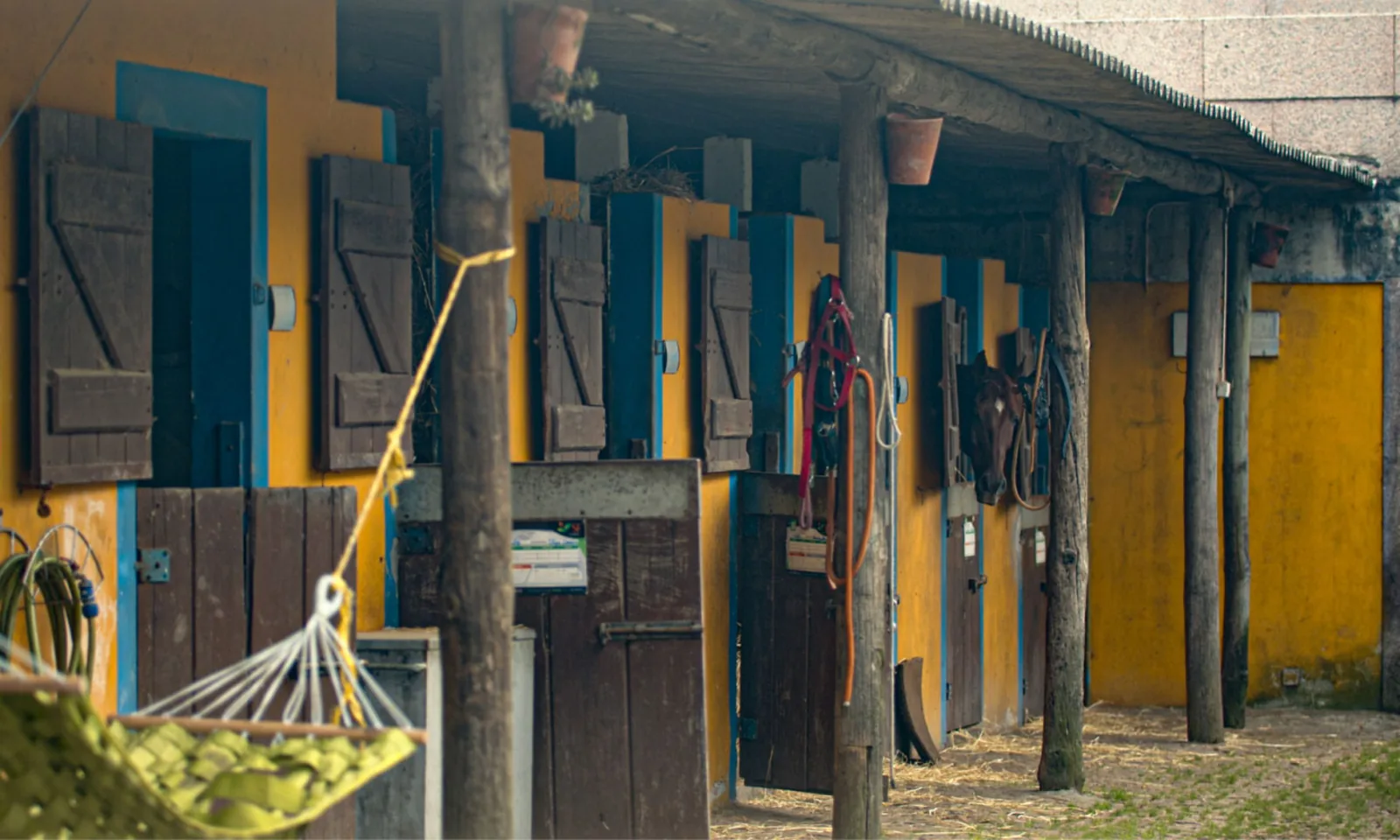 Horseback Riding in Viana do Castelo – image 32