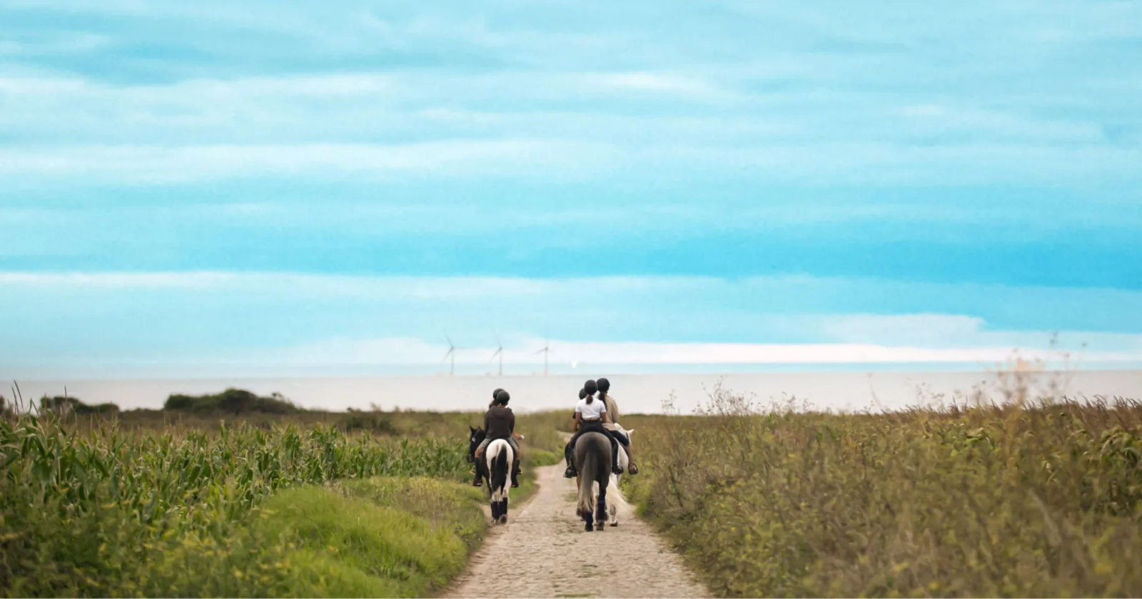 Horseback Riding in Viana do Castelo – image 33