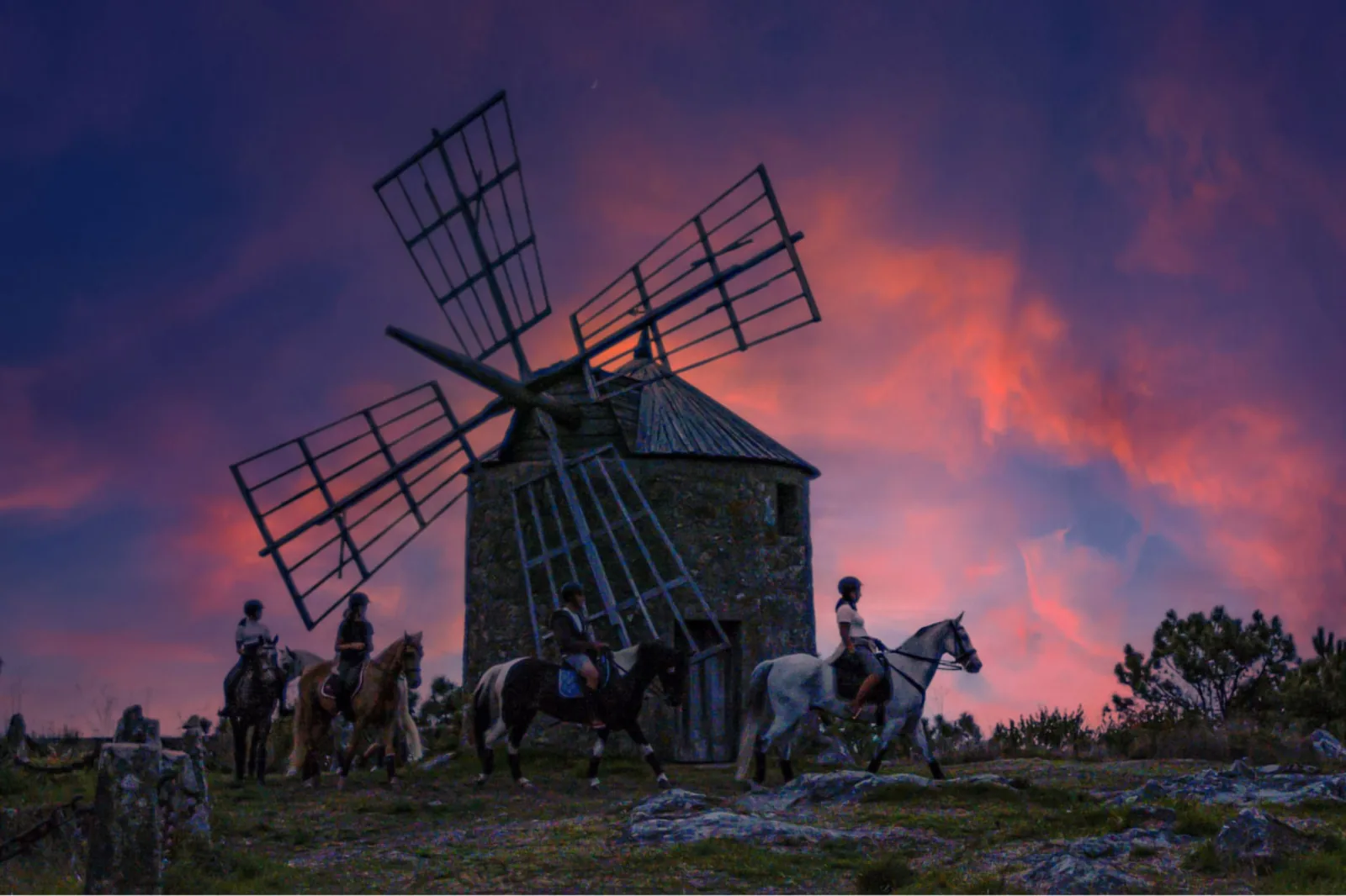 Horseback Riding in Viana do Castelo – image 40