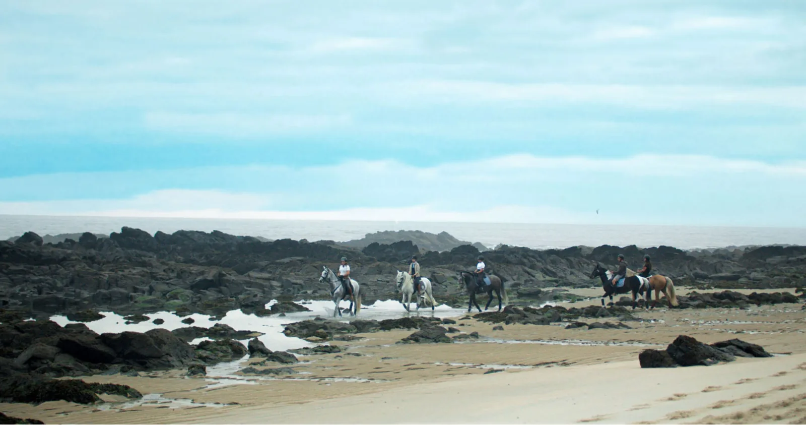 Horseback Riding in Viana do Castelo – image 42