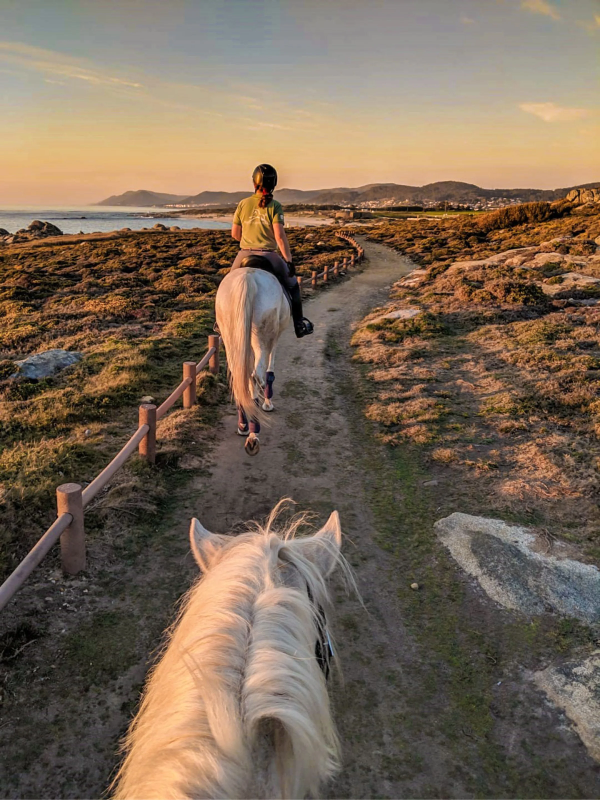Horseback Riding