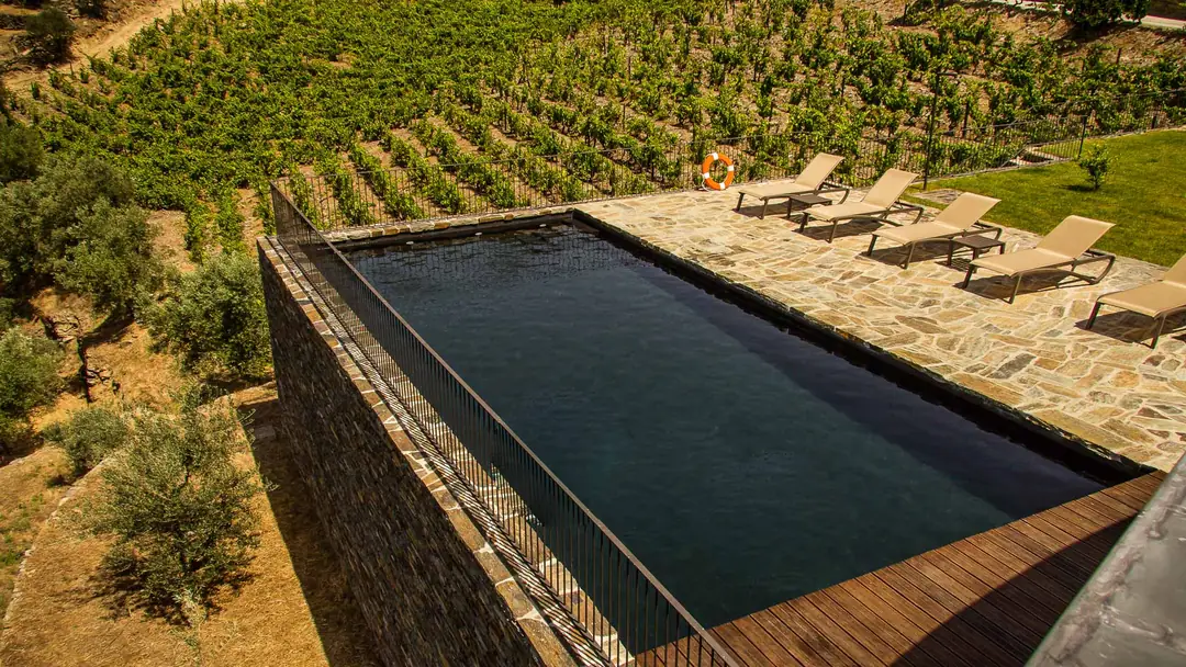 Quinta Vale das Papas – luxury villa in Douro, Portugal – image 2