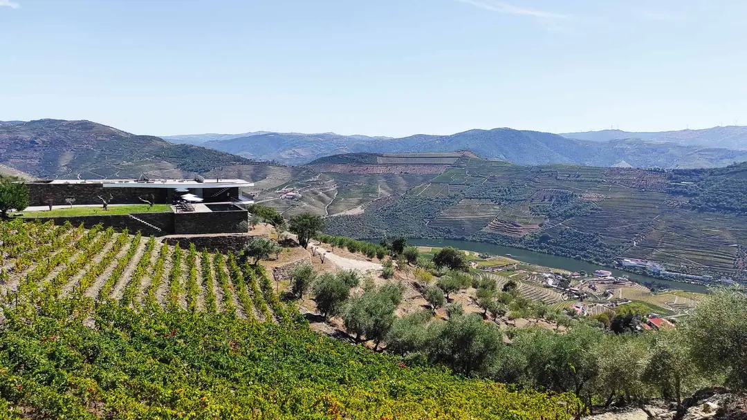 Quinta Vale das Papas – luxury villa in Douro, Portugal – image 16